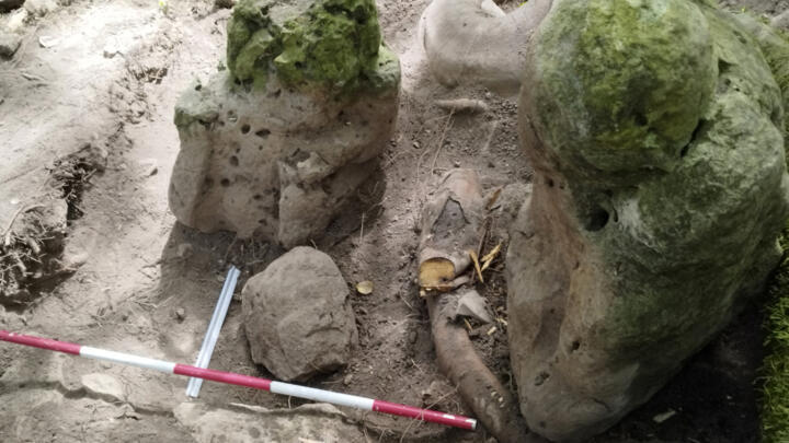 This picture released by the Guatemalan Ministry of Culture and Sports shows sculptures discovered at the Uaxactun archeological site in the Maya Biosphere, Peten department, Guatemala.