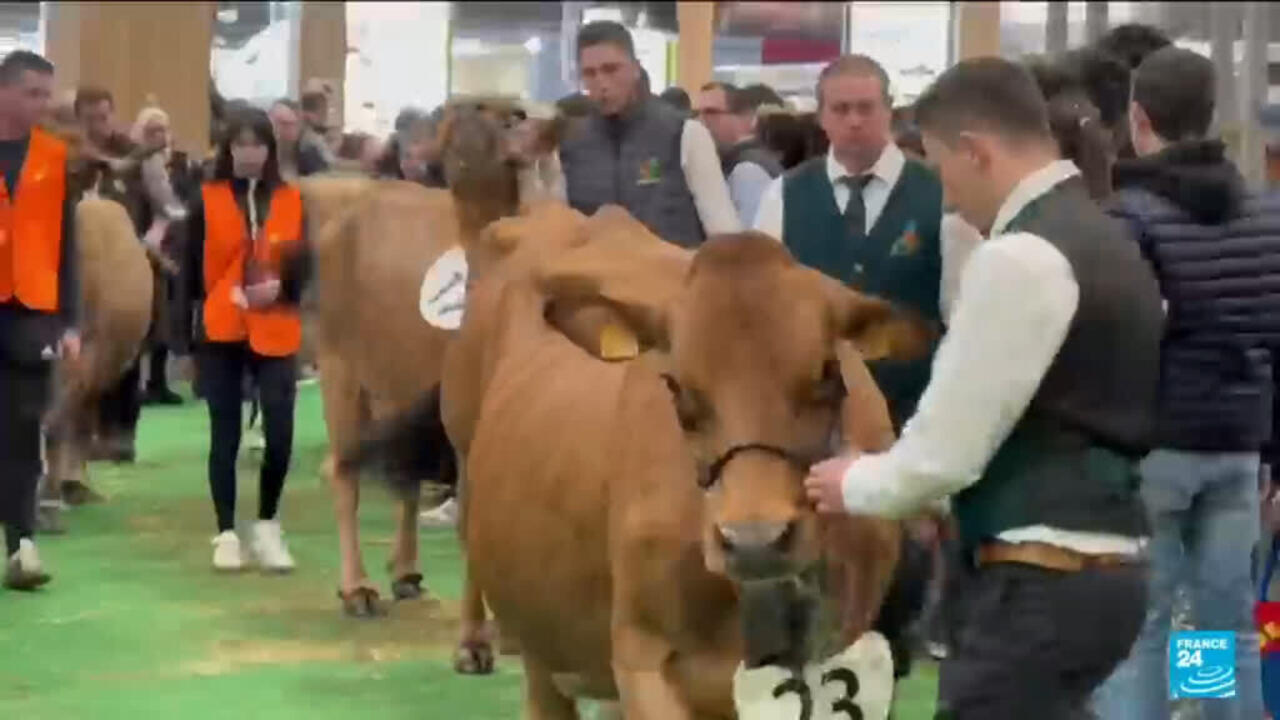 No cows allowed at French agricutural show