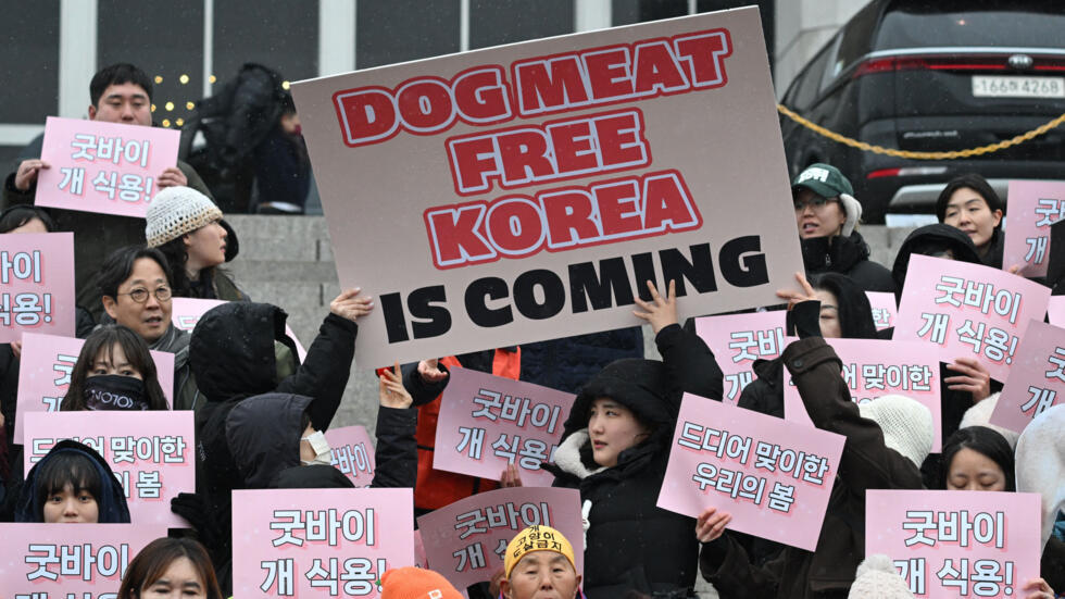 South Korea bans consumption of dog meat in win for animal activism