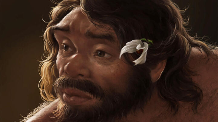 This artist's impression shows the head of an adult male individual who lived roughly 1 million years ago in China's Hubei Province.