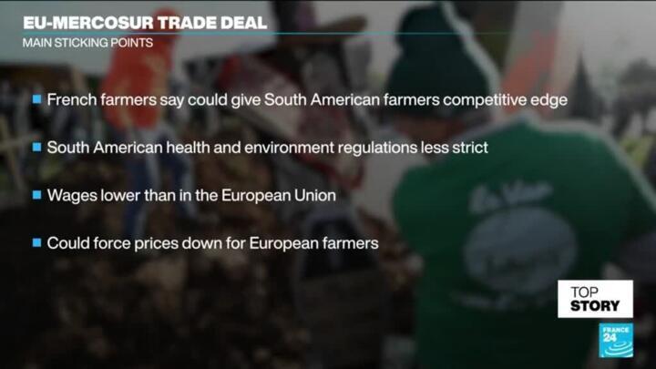 'Bigger picture': EU-Mercosur trade deal would 'open door for a lot of French agricultural exports'