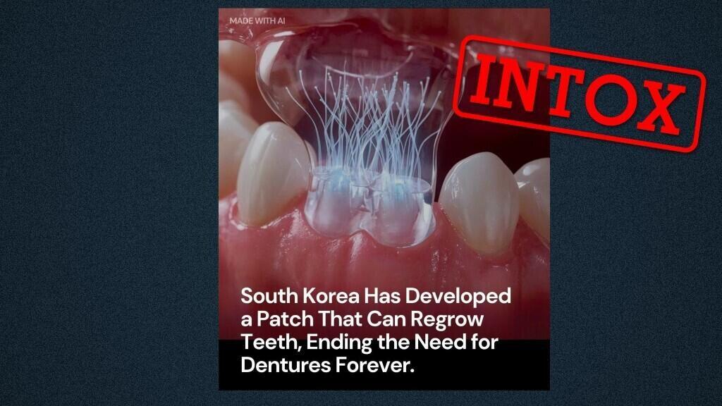 Un patch sud-coréen capable de faire repousser les dents ? Pourquoi c'est faux