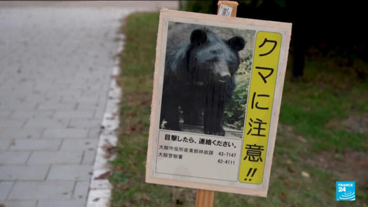 Japan deploys army to counter bear attacks