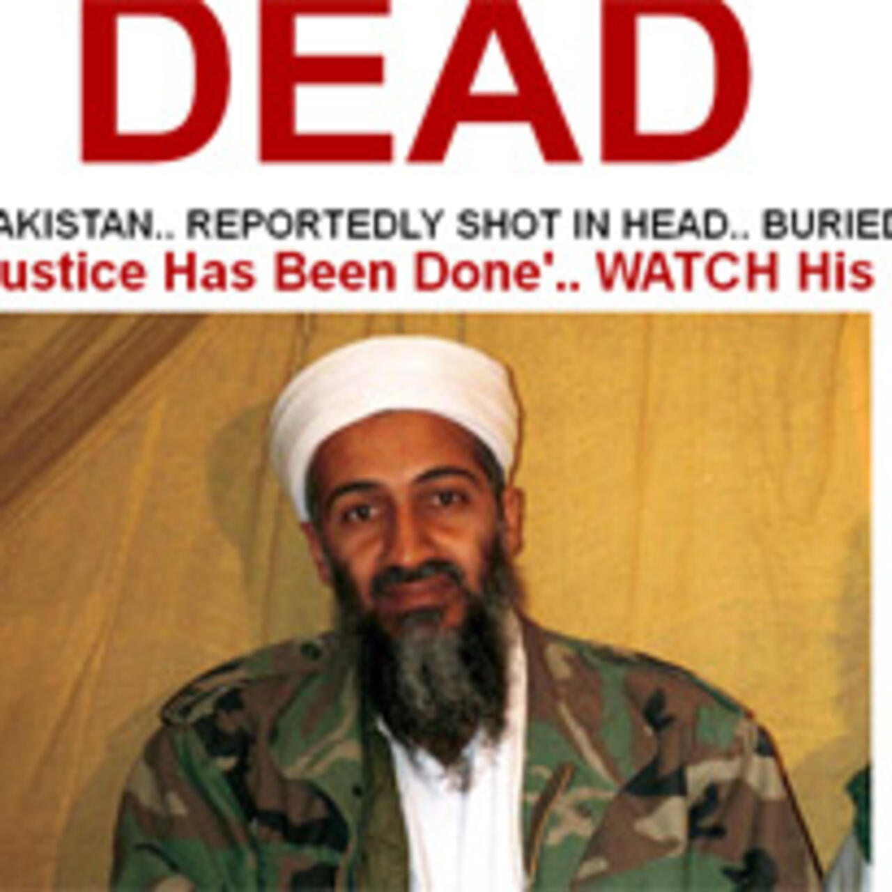 hivatalnok-h-m-r-sz-r-how-bin-laden-died-finom-t-p-ks-g-pacsirta