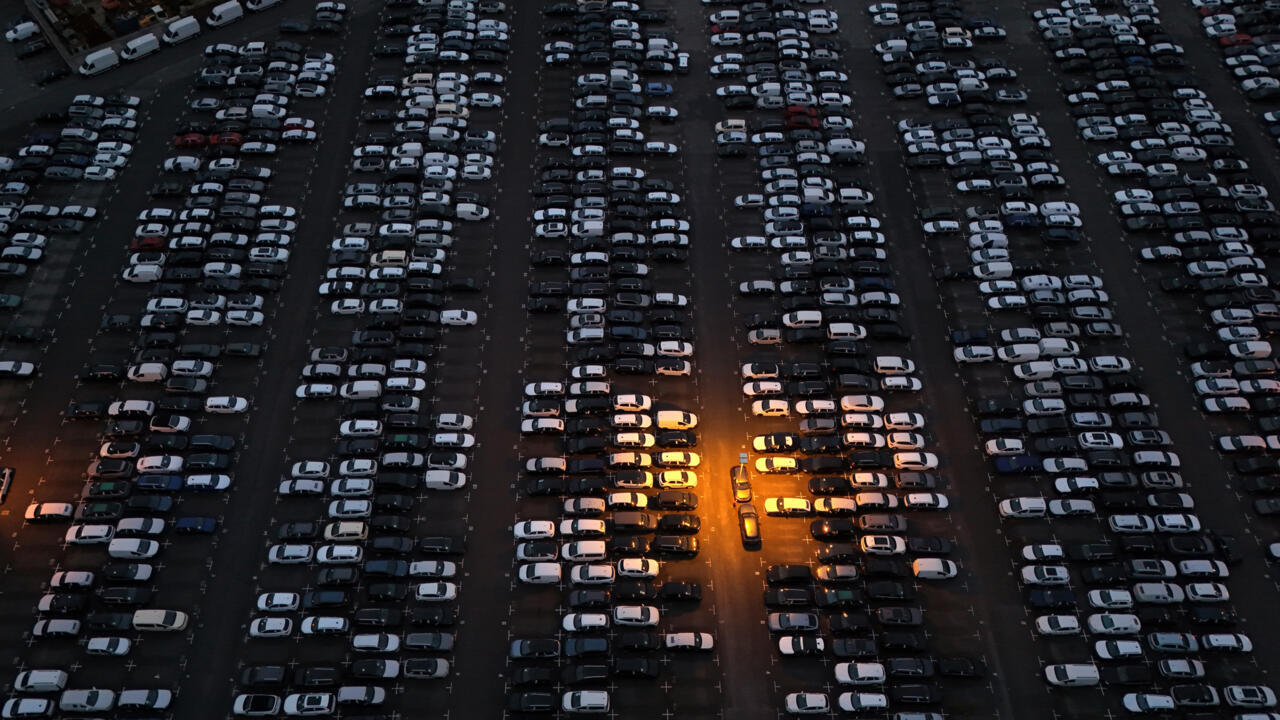 هولندا تعلق عرض الاستحواذ على نيسكبيريا الصينية كبادرة "حسن نية"