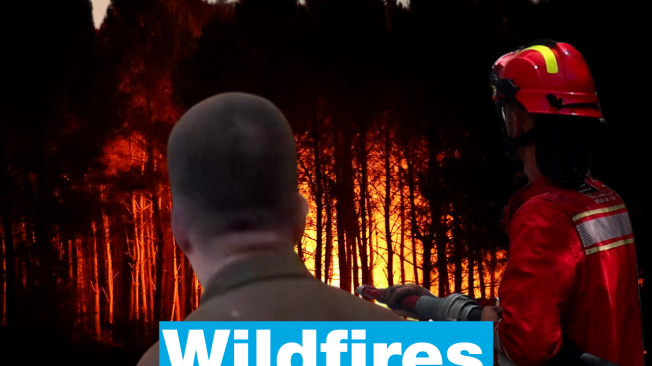 Heatwaves and wildfires: Europe battered by the consequences of global warming