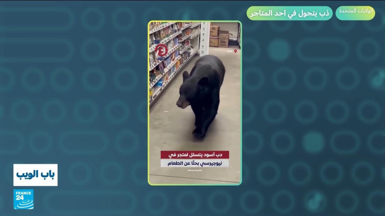 الولايات المتحدة.. دُب يتجول في أحد المتاجر