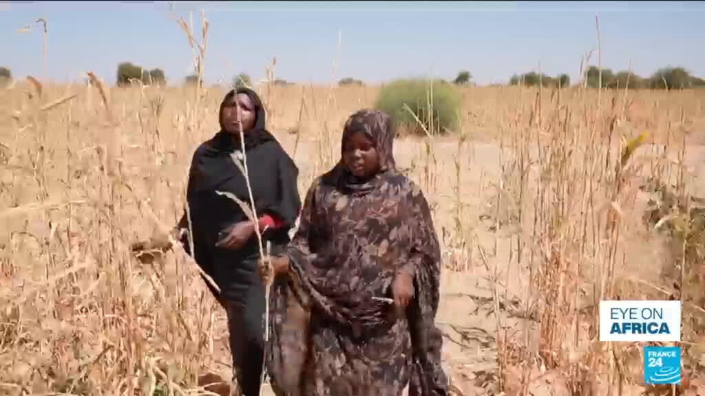 تشاد: اشتداد الأزمة مع ارتفاع درجات الحرارة ونمو السكان