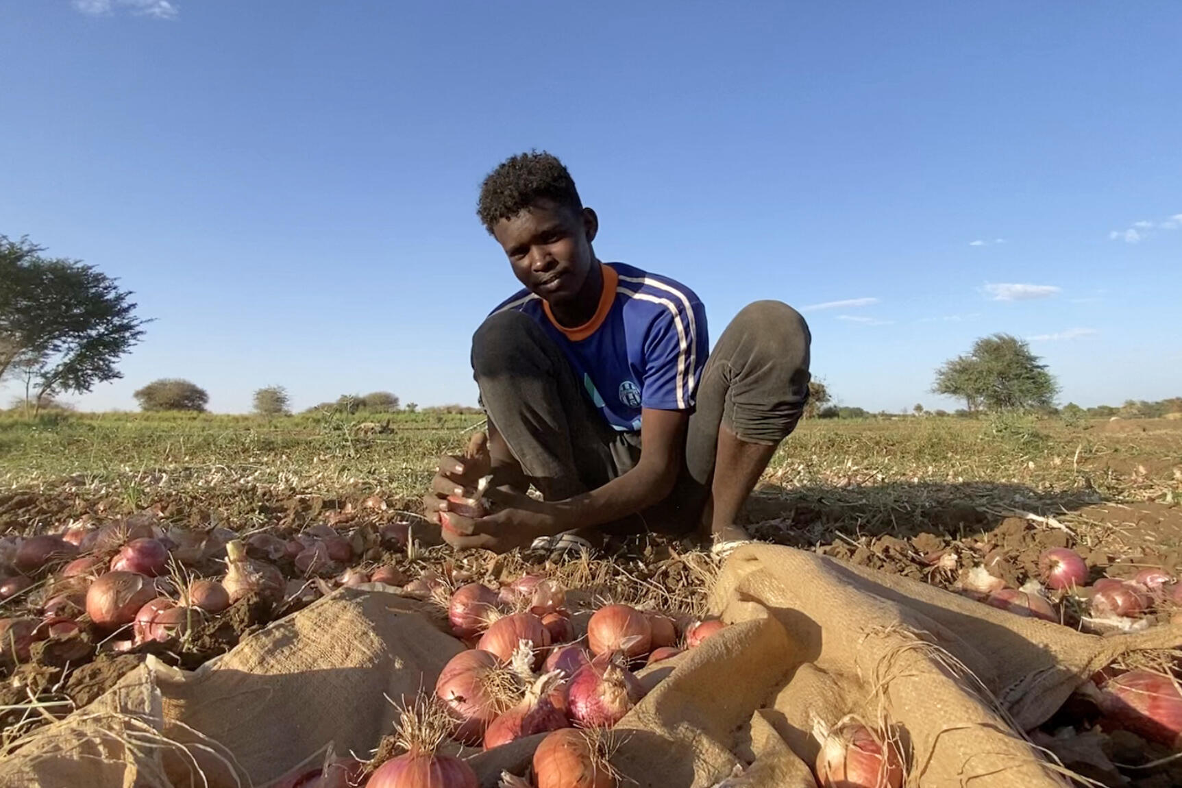 Sudan conflict wreaks havoc on small businesses