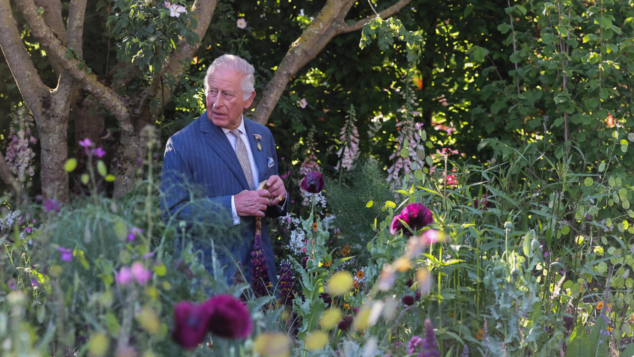 Carlos III advierte que el mundo pierde terreno en la lucha contra el cambio climático – France 24
