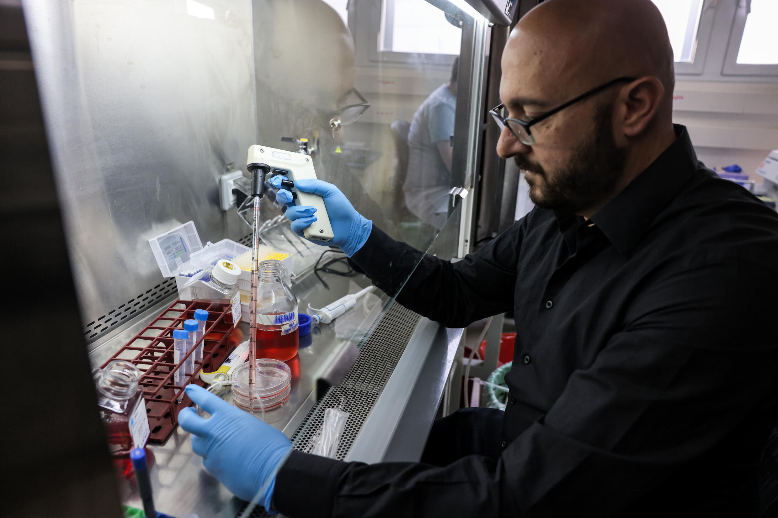 Des similiembryons humains au coeur d'une vive rivalité entre chercheurs