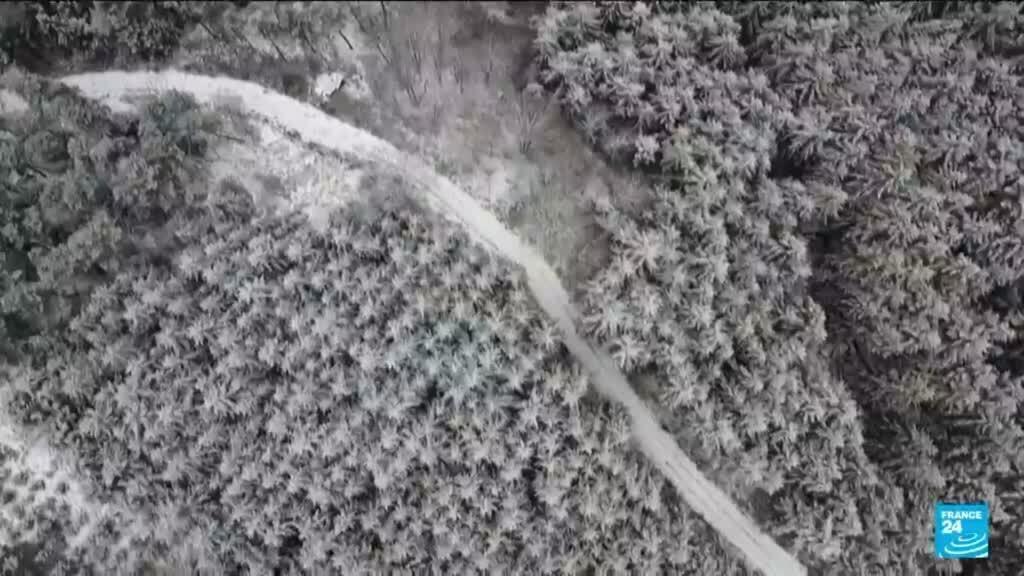 Neige en France : Le 25 décembre dans une ambiance polaire