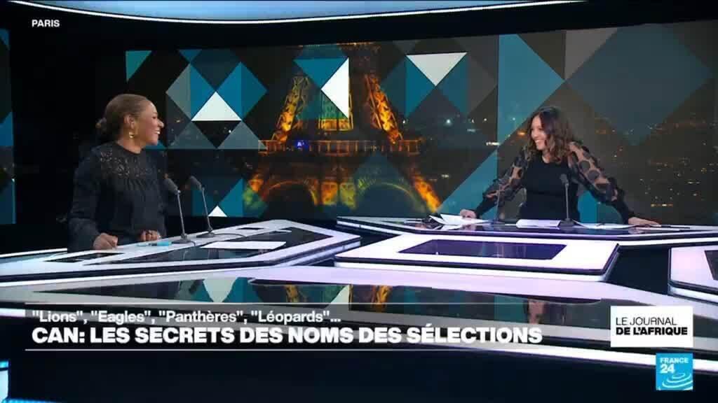 CAN 2025 : "Lions", "Eagles", "Panthères", "Léopards"... Les secrets des noms des sélections