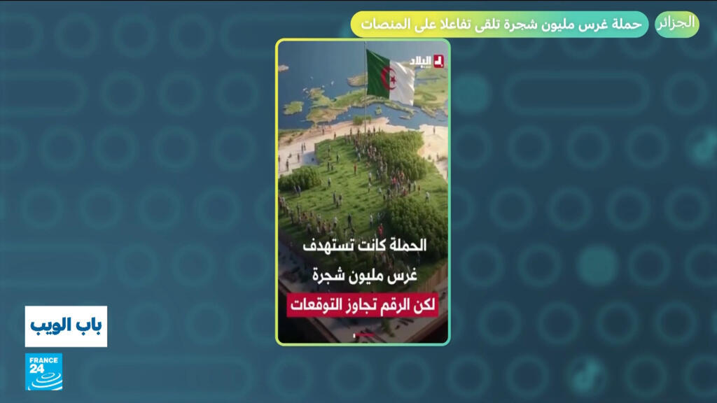 الجزائر.. حملة غرس مليون شجرة تلقى تفاعلا على المنصات