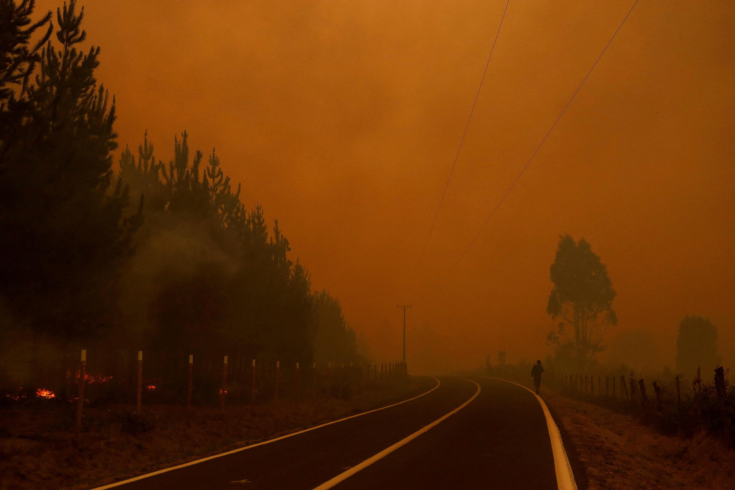 Tragedia en Chile Incendios forestales en el centrosur del país dejan