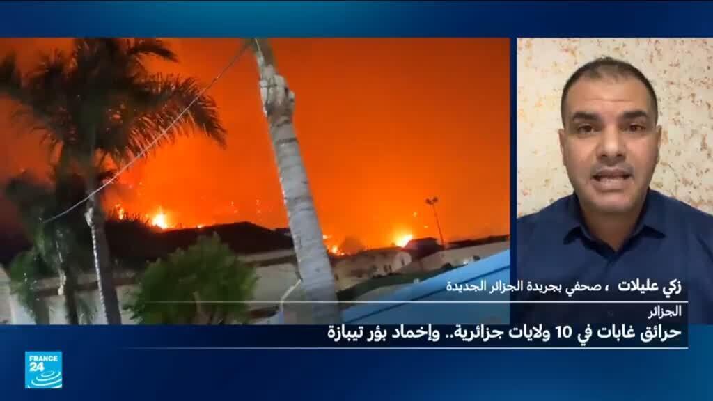 اشتعال حرائق في غابات 10 ولايات جزائرية