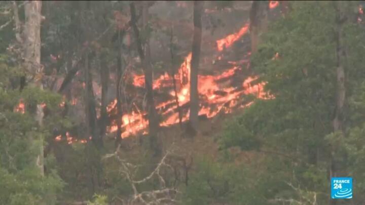 California McKinney wildfire: At least four killed in state's worst blaze this year