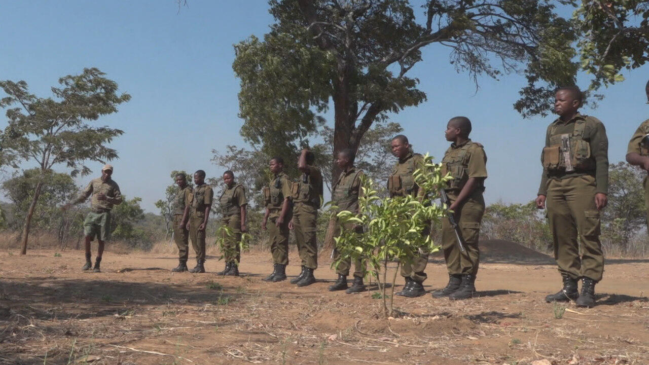 Zimbabwe's Brave Ones The world's first allfemale antipoaching unit