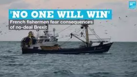 ψάρεμα βινιέτα