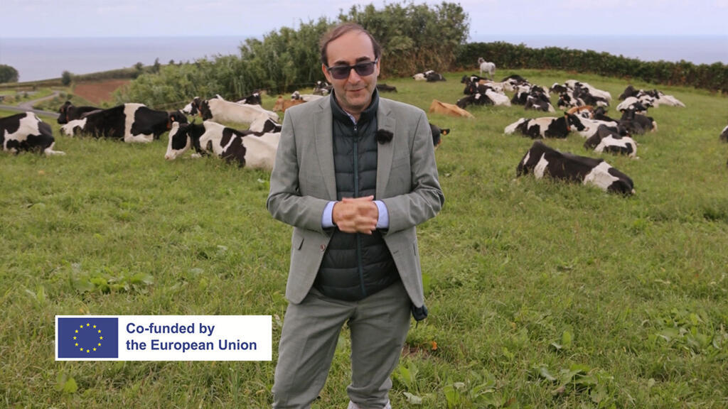 EU solidarity in the Azores: Miracle or mirage? (part 2)