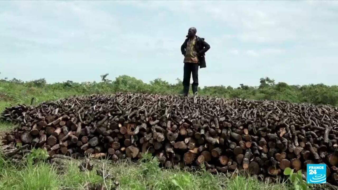 Uganda's charcoal crackdown Across Africa