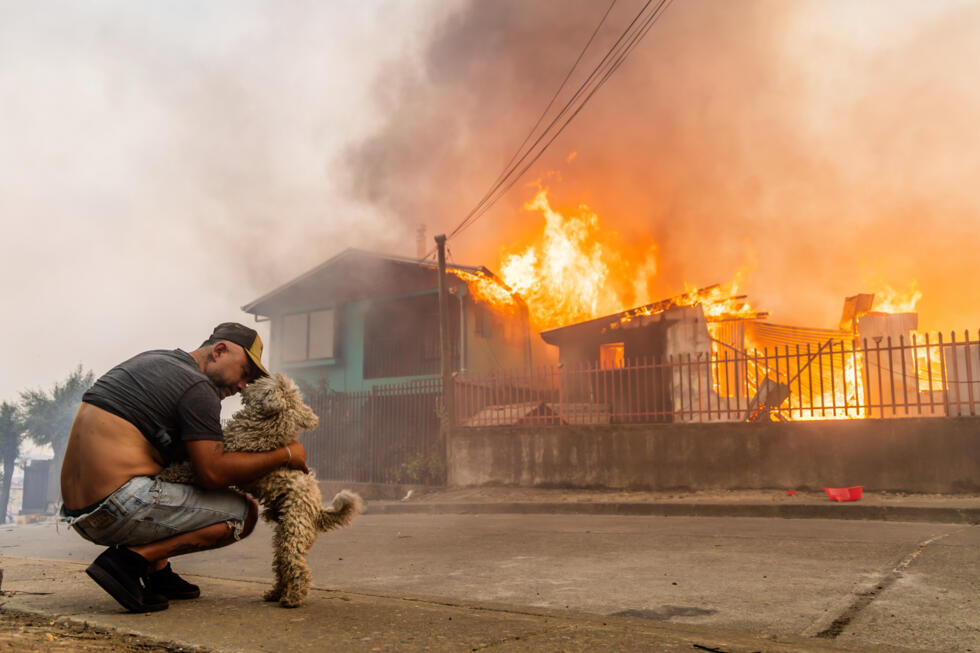 A member of the Gonzalez family pets his dog after the family's home caught fire in Lirquen, Chile, on January 18.