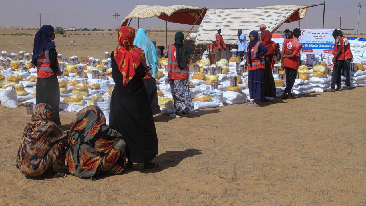 قوات الدعم السريع تسيطر على حقل نفطي حيوي على الحدود مع جنوب السودان