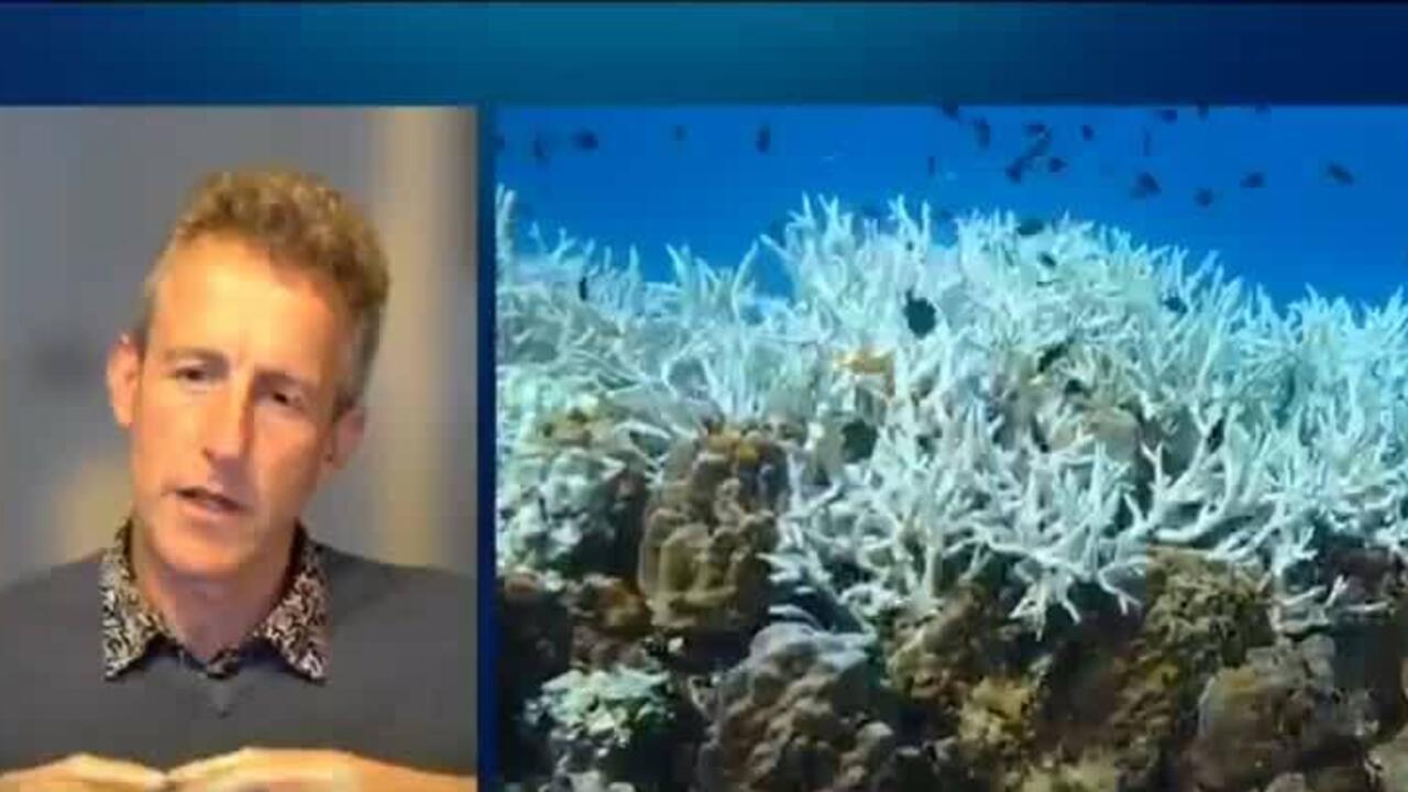 Coral reefs cross survival limit, in Earth's first catastrophic climate tipping point