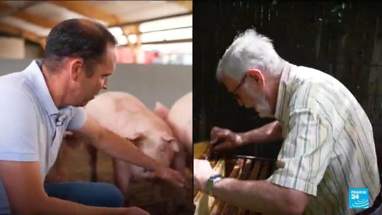 Deux agriculteurs face à la pétition contre la loi Duplomb