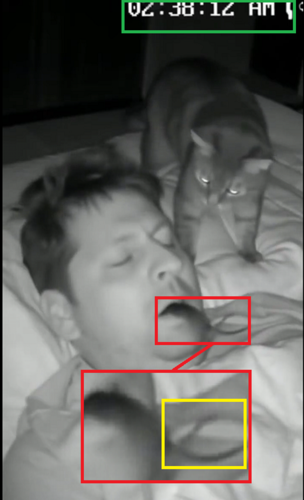 Several anomalies are visible in this video, indicating it has been AI-generated. They have been outlined by the FRANCE 24 Observers team.