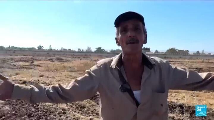 West Bank: Palestinian farmers chased from their agricultural land