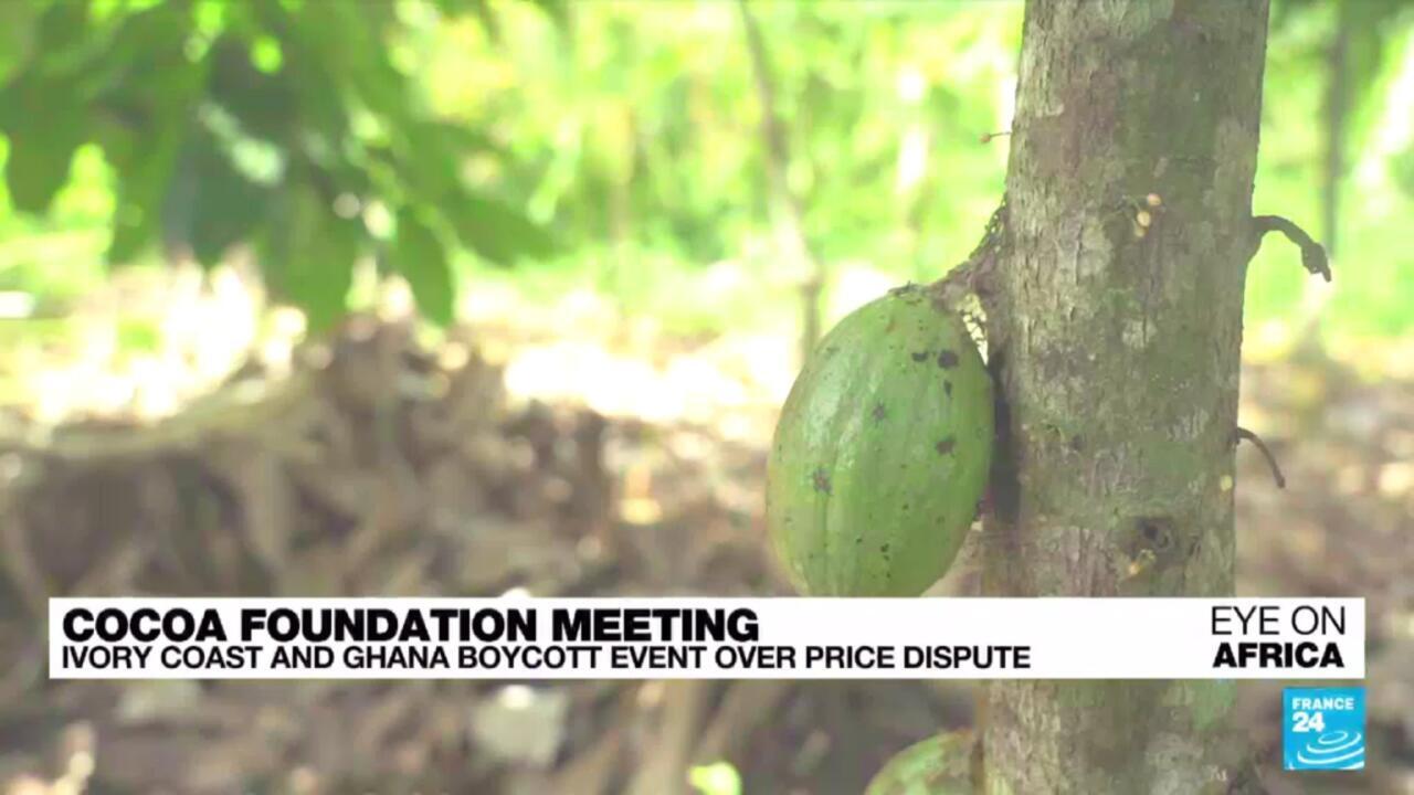 Ivory Coast and Ghana boycott Cocoa Foundation meeting over price