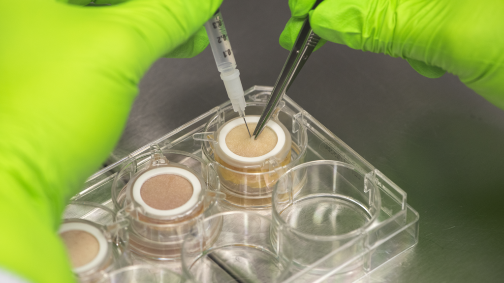 Genoskin : la santé dans la peau