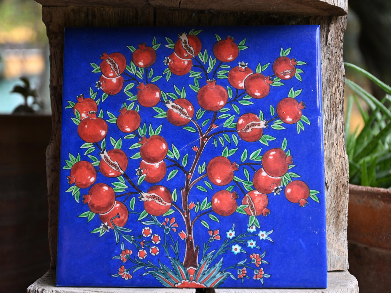 a82c64a155d2a3abcc4fb0bd21c369