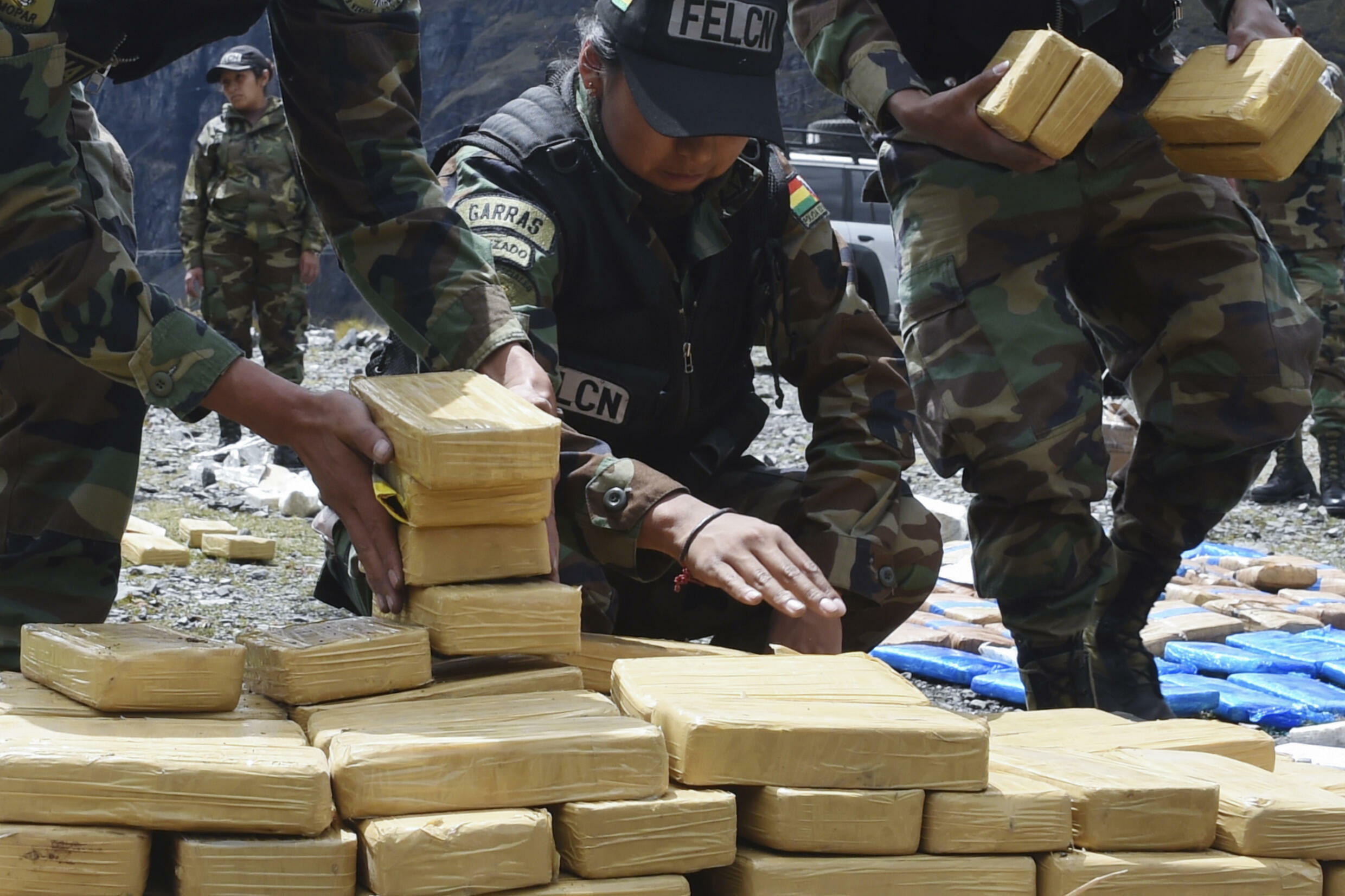 Acusan a Dávila del envío de una tonelada de cocaína al país norteamericano 3 Bolivia es uno de los principales productores de hoja de coca, materia prima para la producción de cocaína. Su cultivo es legal en ciertas áreas y también lo es su venta en dos mercados habilitados, pero solo para el consumo individual de la hoja con propiedades estimulantes