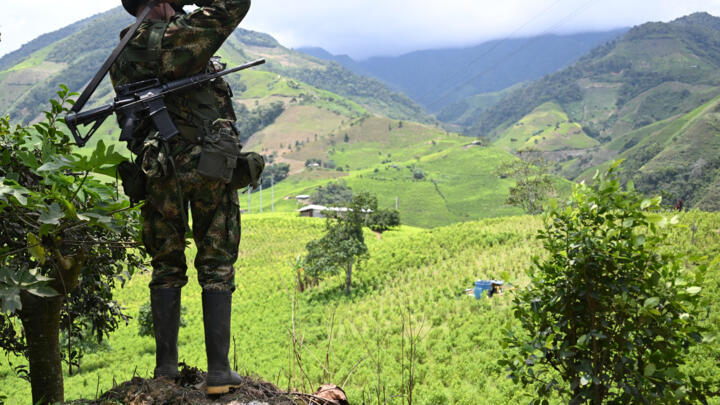 A member of the Carlos Patino front of the dissident FARC guerrilla patrols next to coca crops in Micay Canyon, southwestern Colombia, on March 24, 2024.