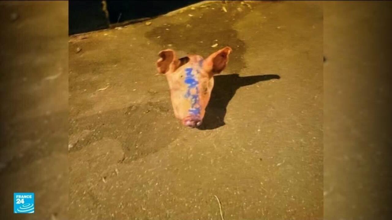 النيابة العامة الفرنسية تعلن أن مواطنيْن أجنبيين وضعا رؤوس خنازير أمام مساجد في باريس