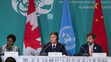 Elizabeth Maruma Mrema, Secretaria Ejecutiva de la Secretaría de la Conferencia sobre la Diversidad Biológica, de izquierda a derecha, Huang Runqiu Presidente de la COP 15 y Ministro de Ecología y Medio Ambiente de China escucha mientras Steven Guilbeault, Ministro de Medio Ambiente y Cambio Climático de Canadá, habla durante una rueda de prensa en la cumbre COP 15 sobre biodiversidad, en Montreal, sábado 17 de diciembre de 2022.