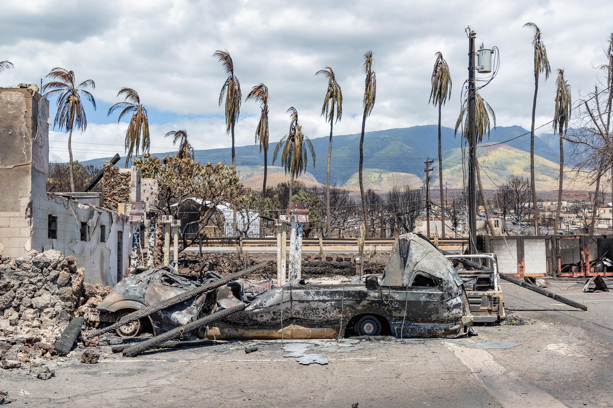 Burned palm trees and destroyed cars and buildings in Lahaina.