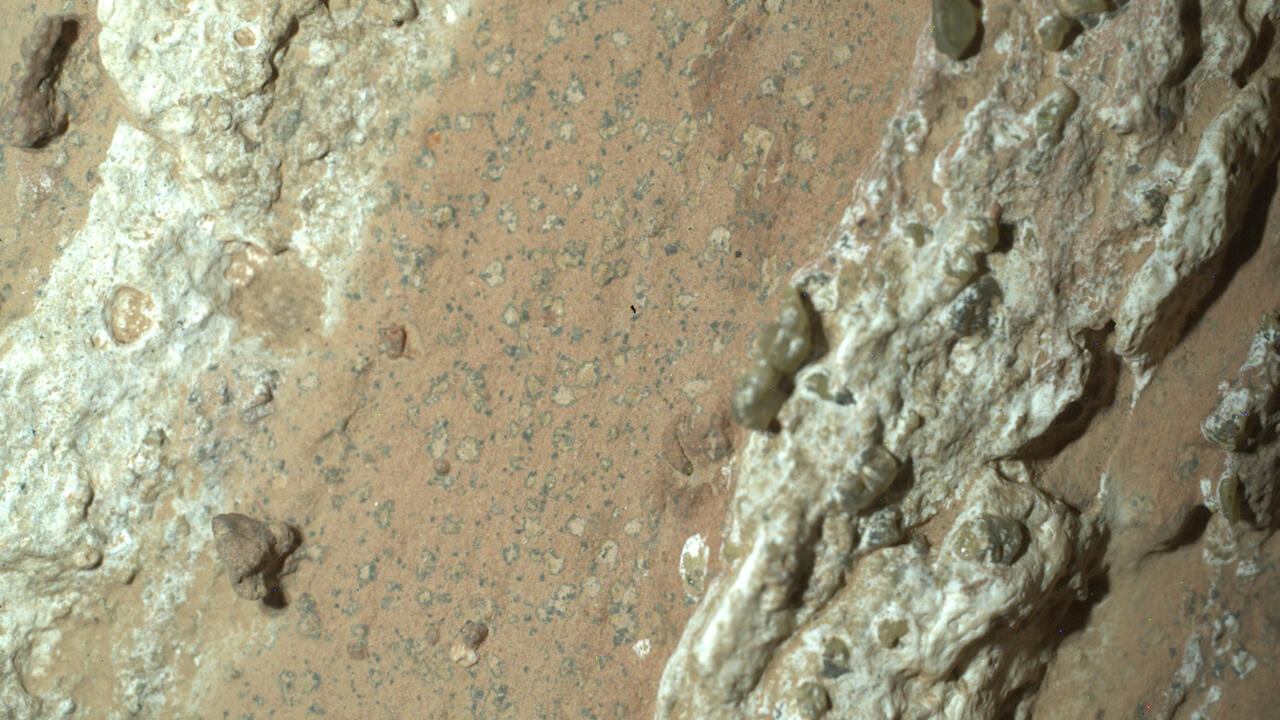 L'instant + : des roches tachetées sur Mars, "signe de vie le plus évident jamais trouvé"