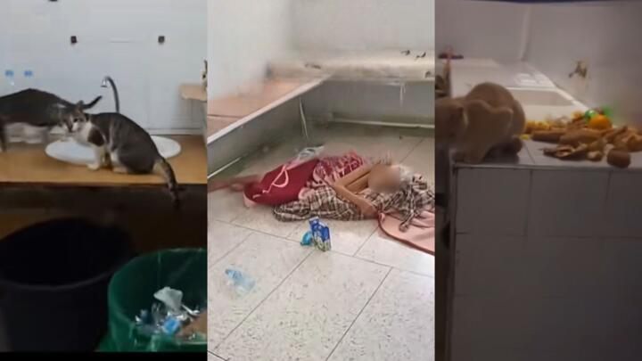 These are screengrabs of videos posted to TikTok in September 2025 by the accounts halimelkadmeri, liberal.fr and alertesinfomonde. These images were taken in the Hassan II Hospital in Agadir.