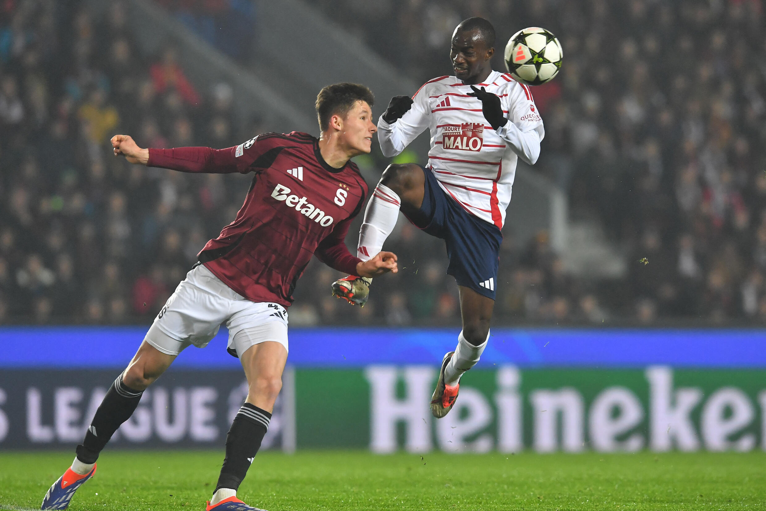 Martin Vitik (Prague) face au milieu de terrain brestois Kamory Doumbia à Prague, en Ligue des Champions, mercredi 6 novembre 2024.