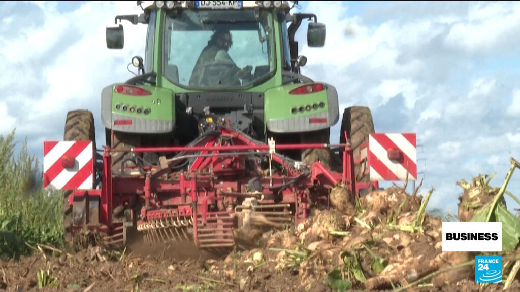 من المقرر أن تمرر إيطاليا صفقة ميركوسور بعد أن يبدو أن التنازل الأخير الذي قدمه الاتحاد الأوروبي قد تم استيفاءه