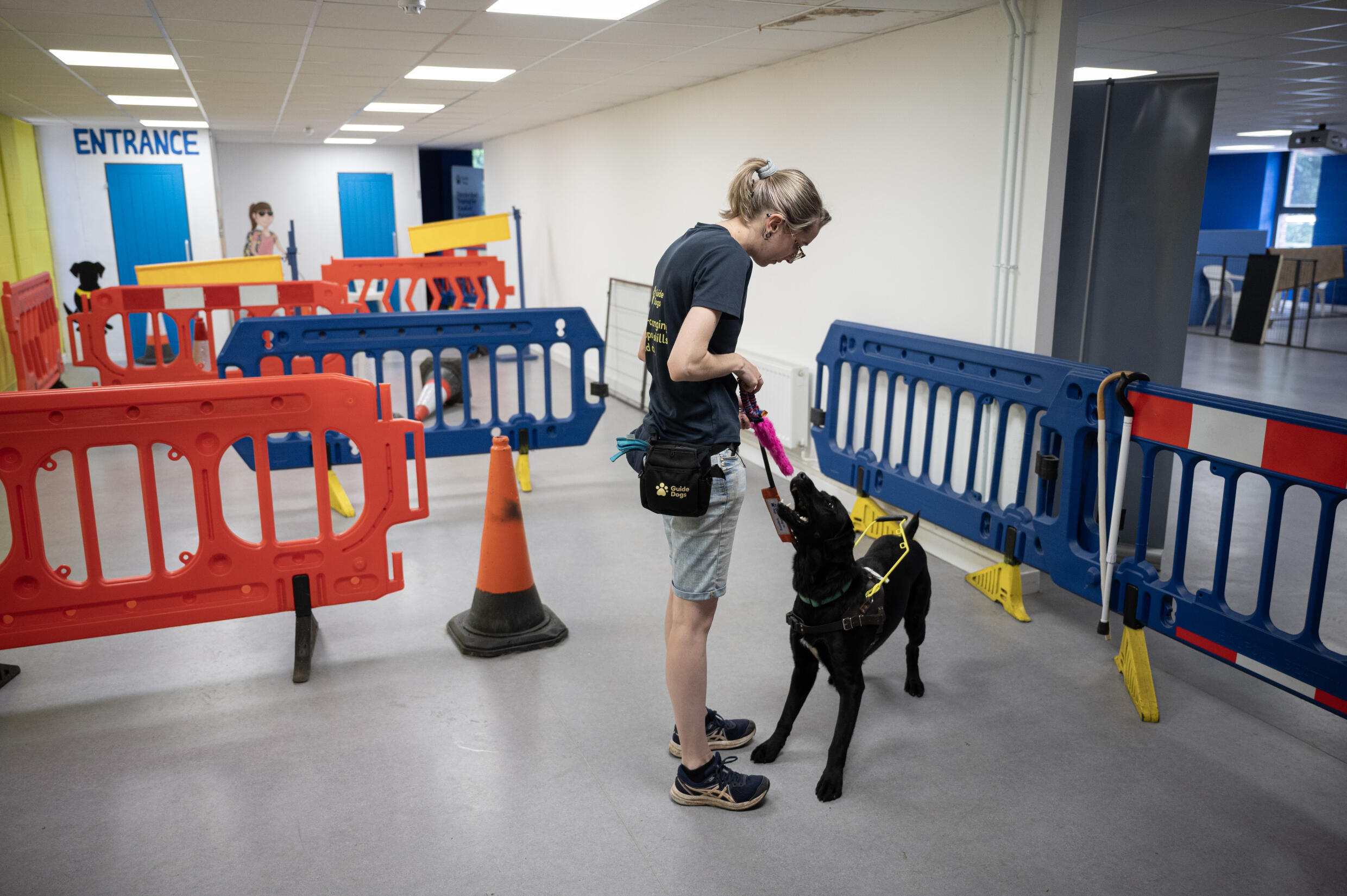 Long waits as UK hit by guide dog shortage