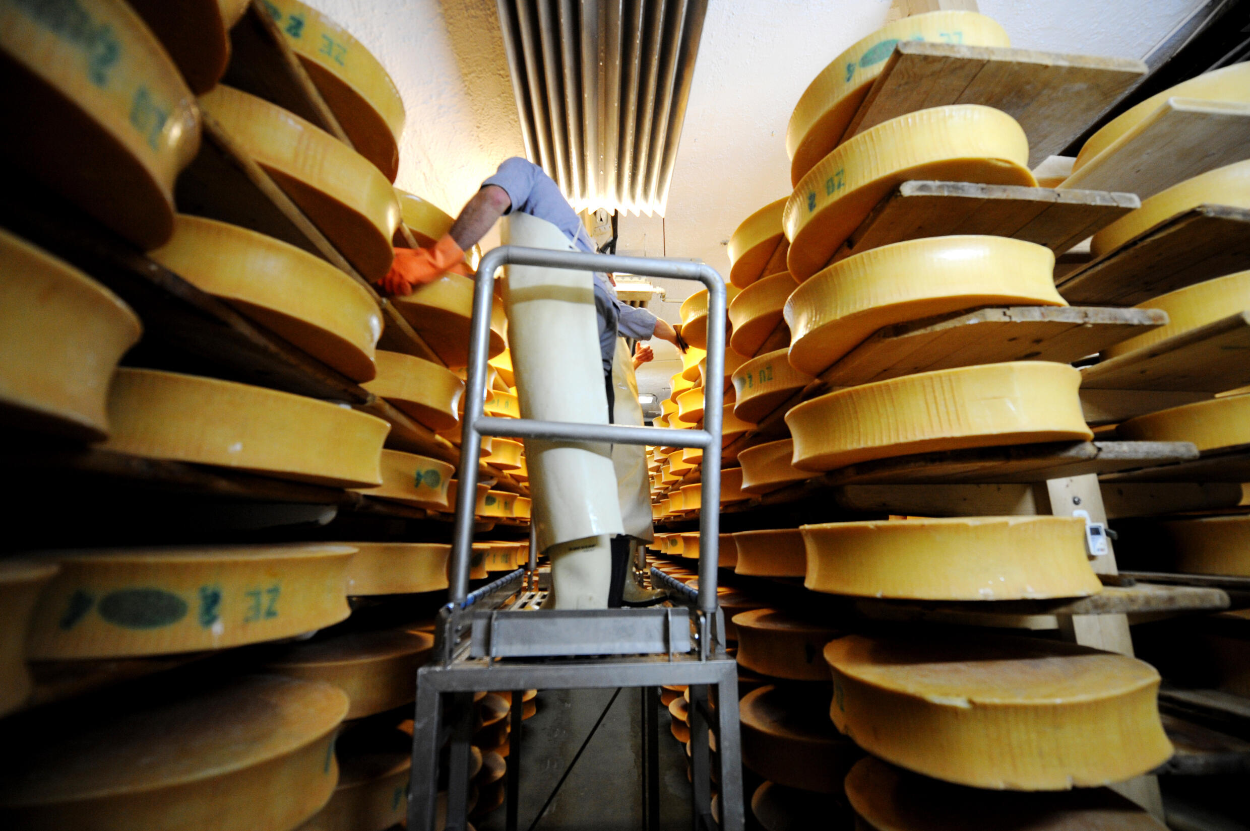 Fromages au lait cru, les bactéries à l