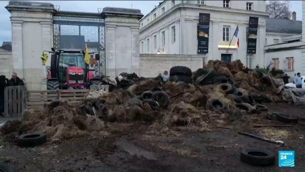 Dermatose nodulaire contagieuse : la colère agricole gronde en France