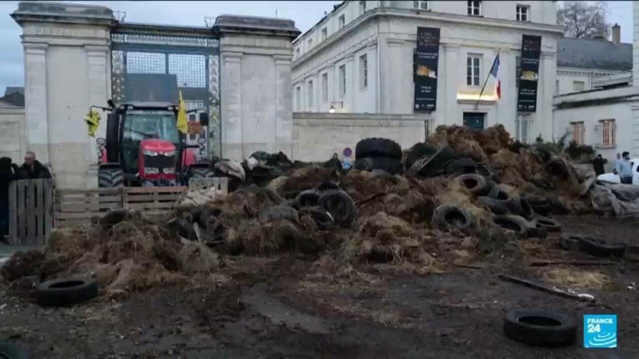 Dermatose nodulaire contagieuse : la colère agricole gronde en France