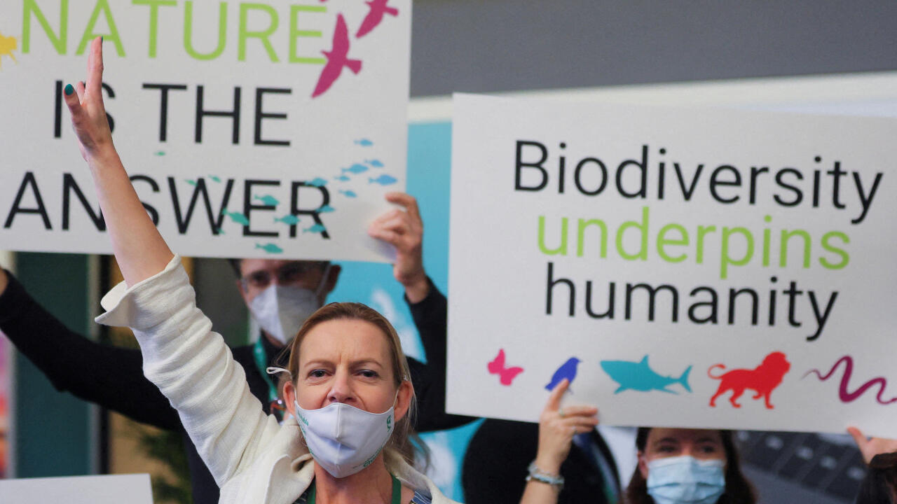 Miembros de WWF protestan durante la COP15, la cumbre de biodiversidad de la ONU de dos semanas de duración, en Montreal, Quebec, Canadá, el 7 de diciembre de 2022.