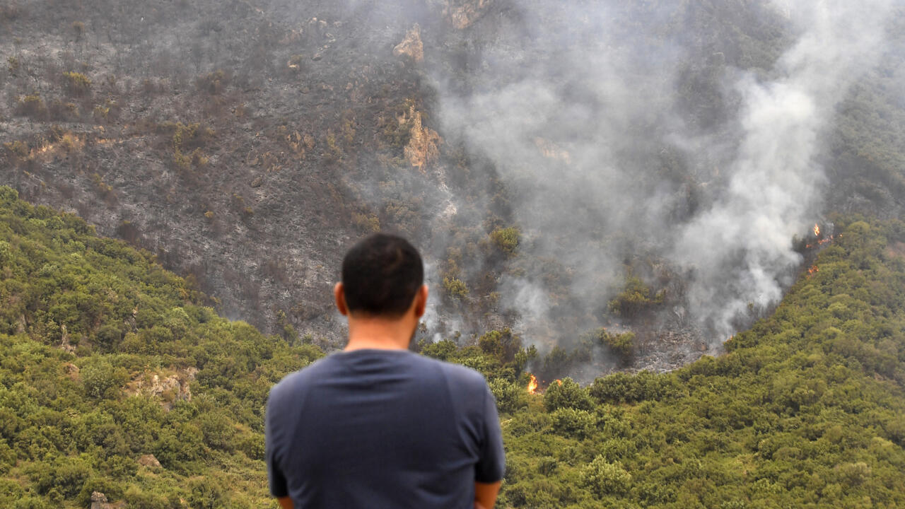 الجزائر: إجلاء عشرات العائلات جراء حرائق غابات كبيرة غرب العاصمة