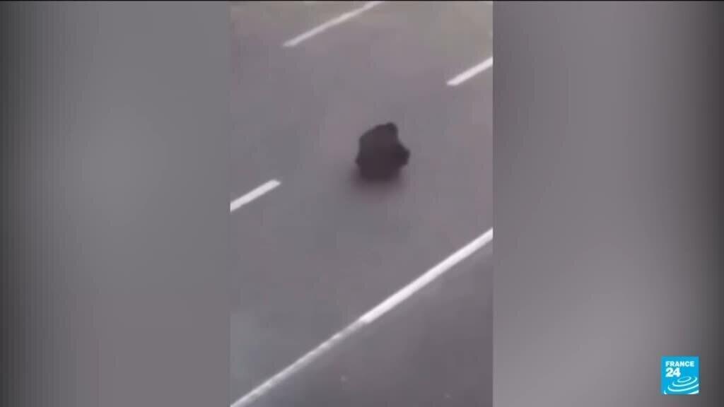 Irans Tainanmen: Video of protester defying police in Iran goes viral